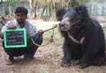 a bear charmer or handler