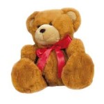 a teddy bear (a toy)