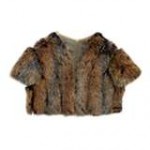 chinchilla6-150x150