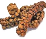 (undigested coffee beans that passed through civets bowels)