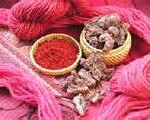 cochineal4-150x120