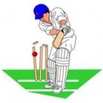 (a game of cricket)