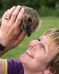 hedgehog2-120x150
