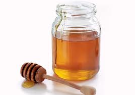 honey bee1
