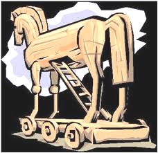horse14