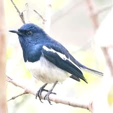 images (10)