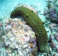 images (20)