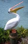 images (9)