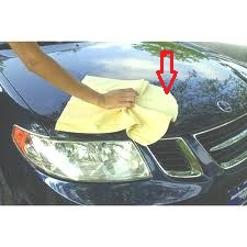 a chamois (car-wash cloth)