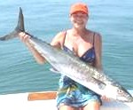 mackerel1-150x124
