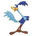 roadrunner1-150x150