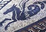 sea-horse-150x105