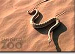 sidewinder-150x110
