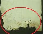 silverfish-damage-150x119