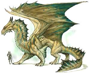 a dragon