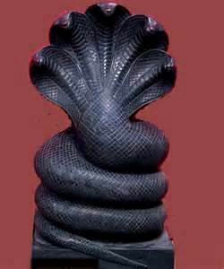 the Indian Nag/Naga