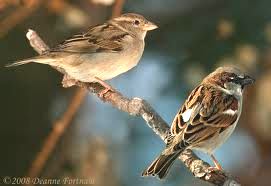 images (8)