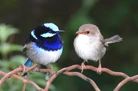 images (8)