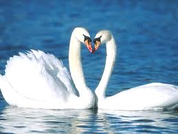 images (8)