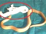 snake-shedding-skin-150x110