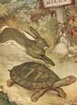 tortoise-hare1-111x150