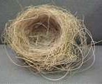 wren3-150x123