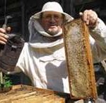 apiarist1