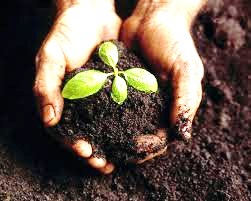 conservationist2