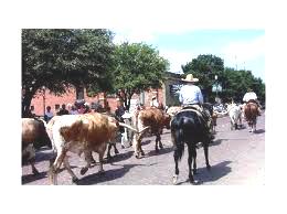 drover3