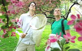 entomologist