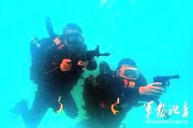 frogman3