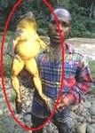 goliath1-107x150