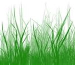 grass-150x131