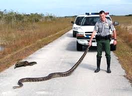 python2