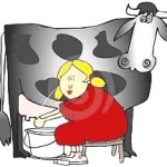 a milkmaid at work