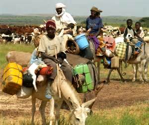 a community of nomads on the move