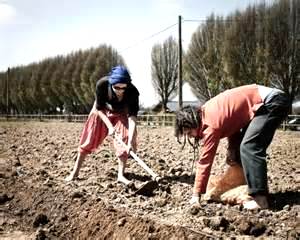 occupants of a piece of land, either own it or work on it