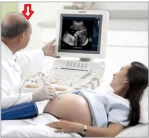 a male obstetrician studying a pregnant woman's condition