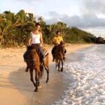 horse riders on a beach
